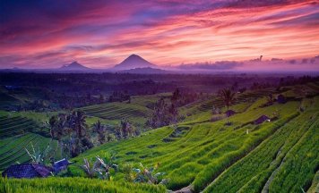 Bali Tour Package from Ahmedabad